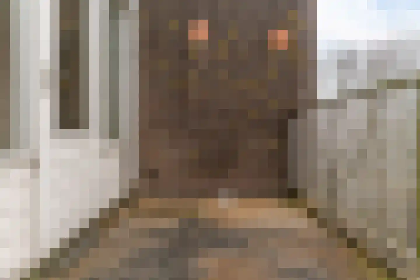 Elzekrulzoom 59 Alphen aan den Rijn thumbnail 15