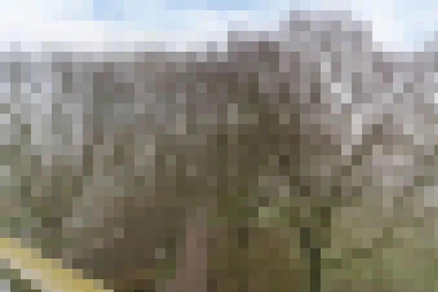 Elzekrulzoom 59 Alphen aan den Rijn thumbnail 17