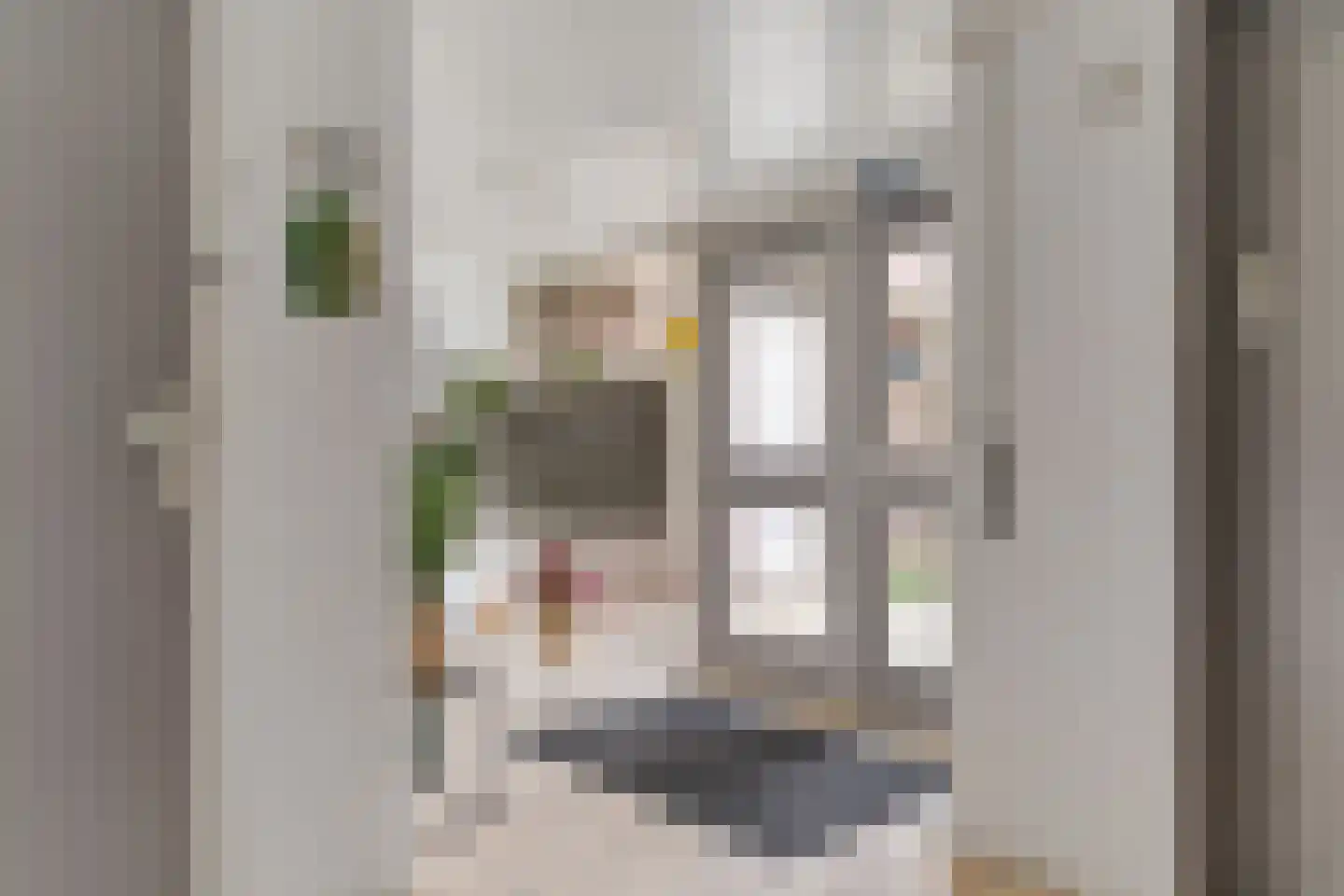 Elzekrulzoom 59 Alphen aan den Rijn thumbnail 18