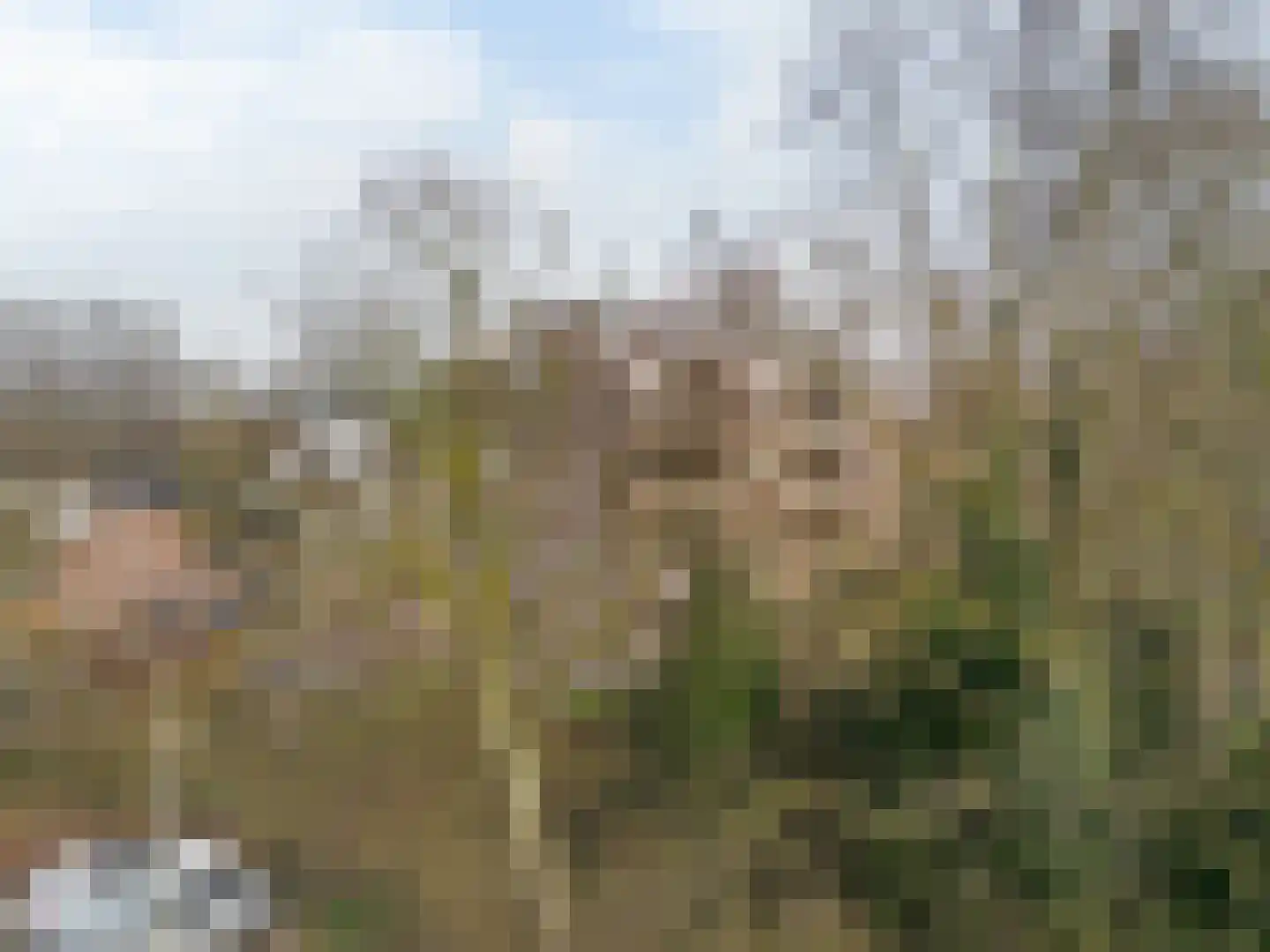Elzekrulzoom 59 Alphen aan den Rijn thumbnail 21