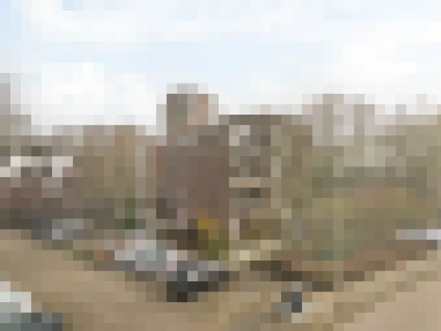 Elzekrulzoom 59 Alphen aan den Rijn thumbnail 22