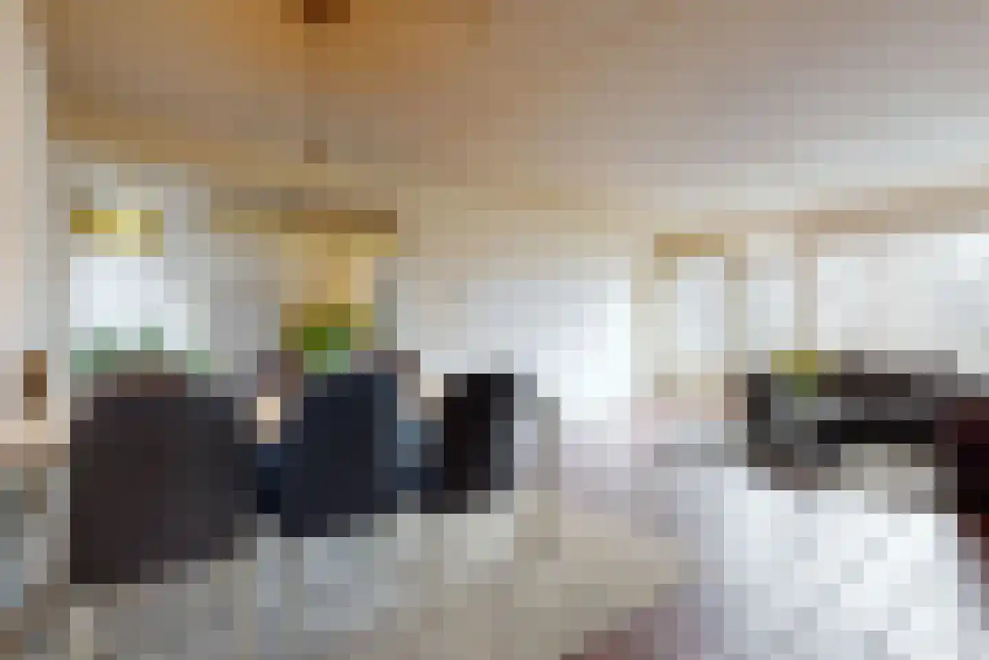 Elzekrulzoom 59 Alphen aan den Rijn foto 3