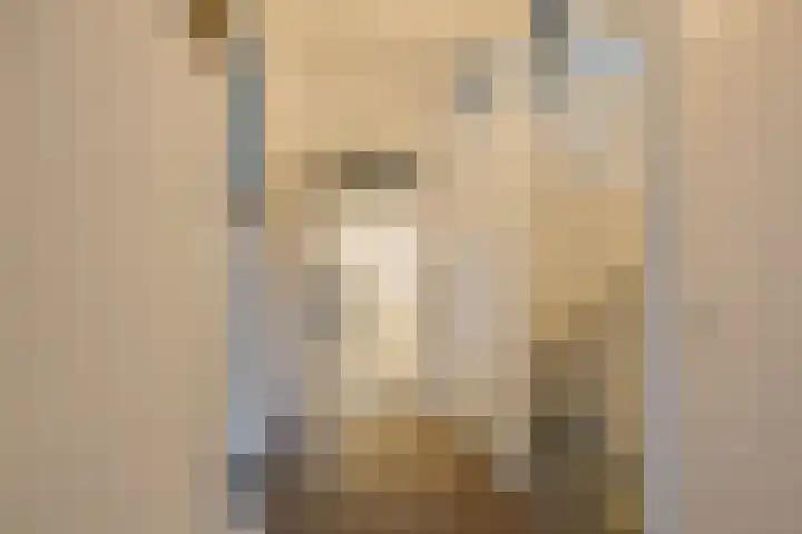 Elzekrulzoom 95 Alphen aan den Rijn thumbnail 12