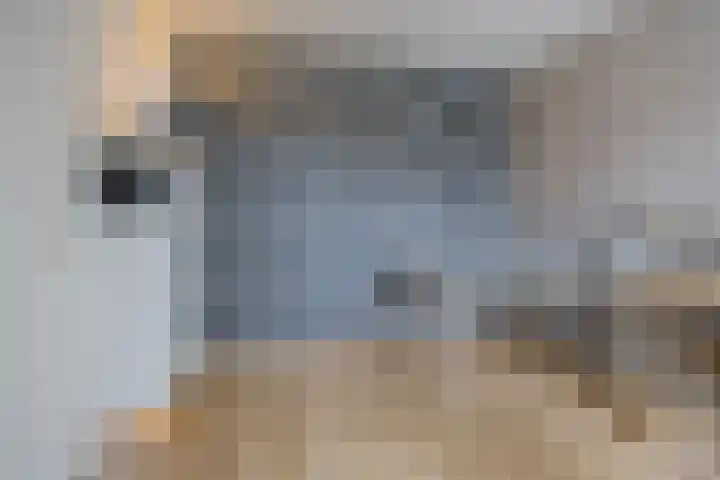 Elzekrulzoom 95 Alphen aan den Rijn thumbnail 15