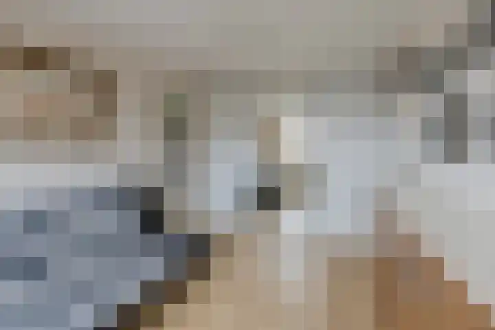 Elzekrulzoom 95 Alphen aan den Rijn thumbnail 17