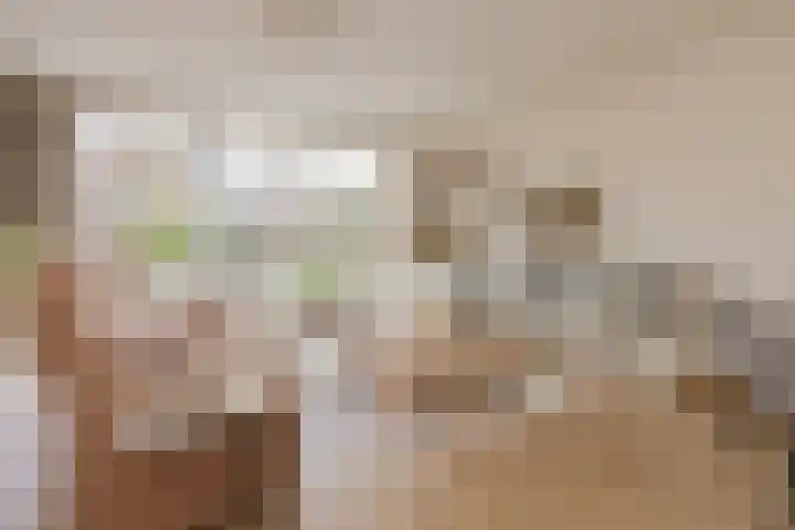 Elzekrulzoom 95 Alphen aan den Rijn foto 2