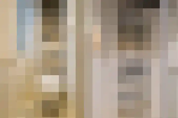 Elzekrulzoom 95 Alphen aan den Rijn thumbnail 21