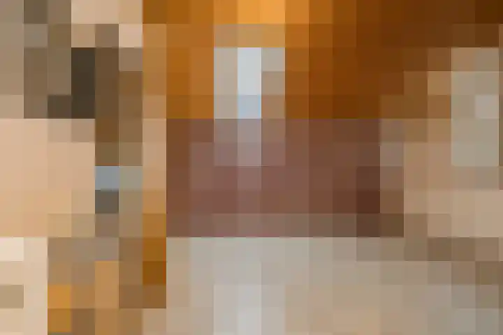 Elzekrulzoom 95 Alphen aan den Rijn thumbnail 26