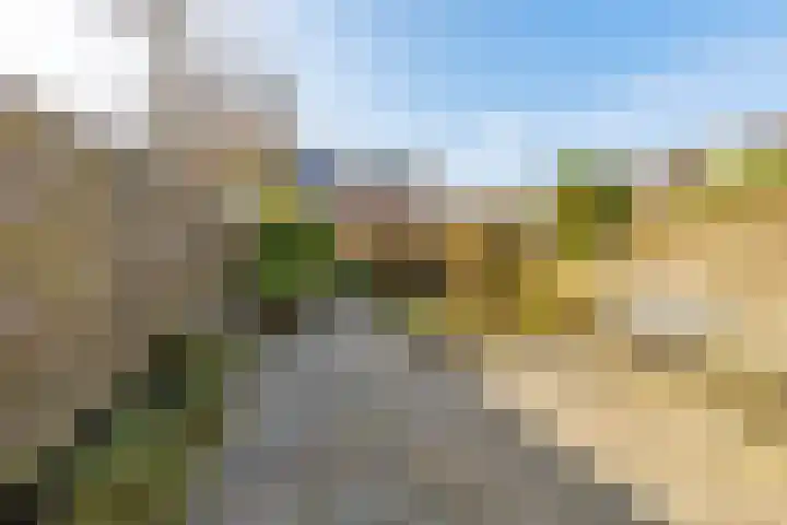 Elzekrulzoom 95 Alphen aan den Rijn thumbnail 30