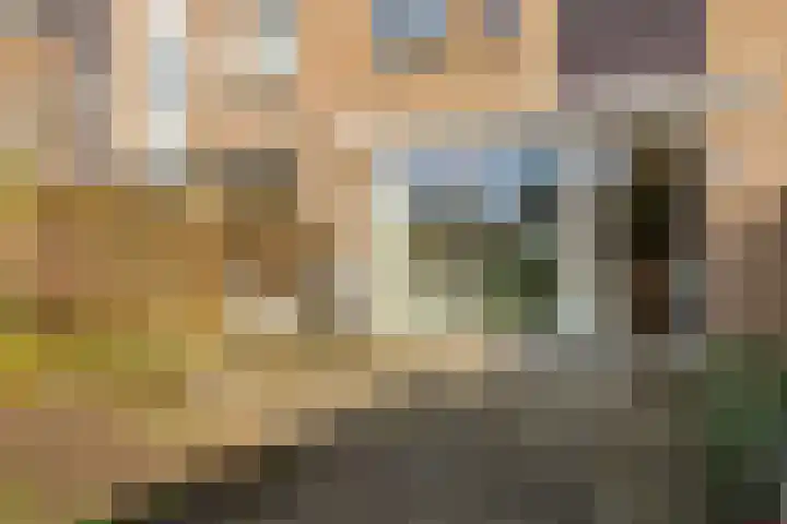 Elzekrulzoom 95 Alphen aan den Rijn thumbnail 31