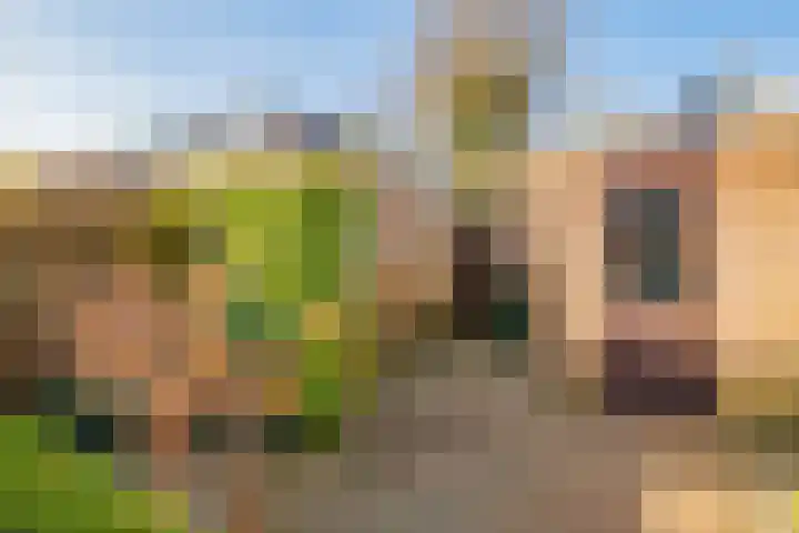 Elzekrulzoom 95 Alphen aan den Rijn thumbnail 32