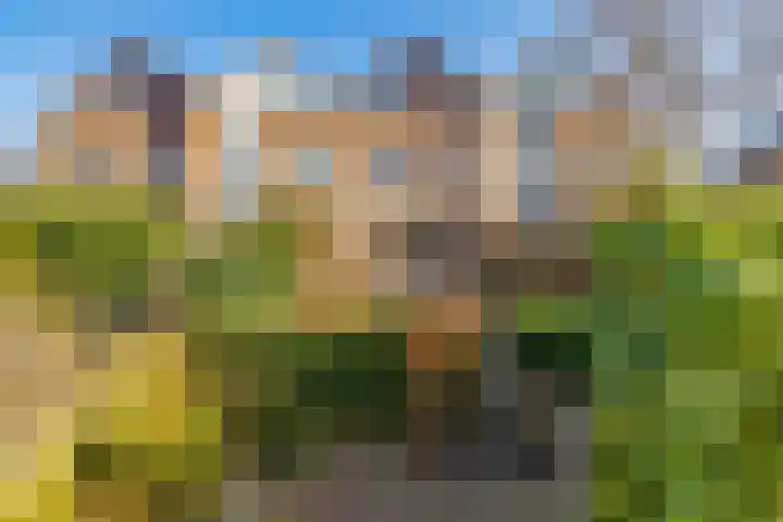 Elzekrulzoom 95 Alphen aan den Rijn thumbnail 33