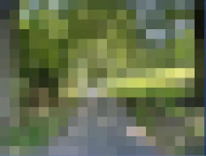 Elzekrulzoom 95 Alphen aan den Rijn thumbnail 34