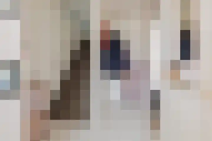 Elzekrulzoom 95 Alphen aan den Rijn thumbnail 9