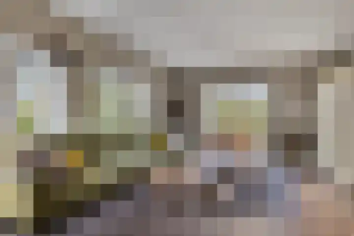 Elzen 4 Boekel thumbnail 10