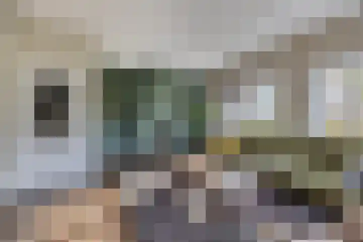 Elzen 4 Boekel thumbnail 11