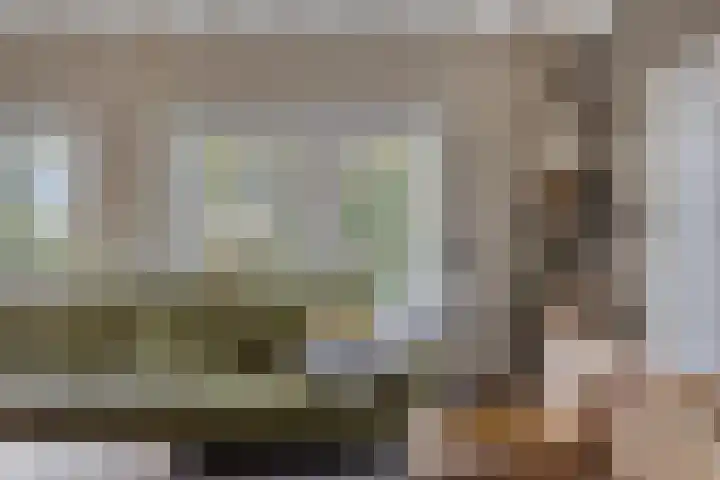 Elzen 4 Boekel thumbnail 12