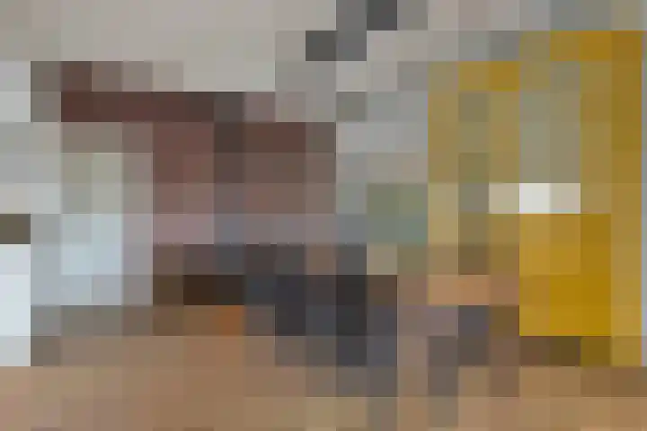 Elzen 4 Boekel thumbnail 14