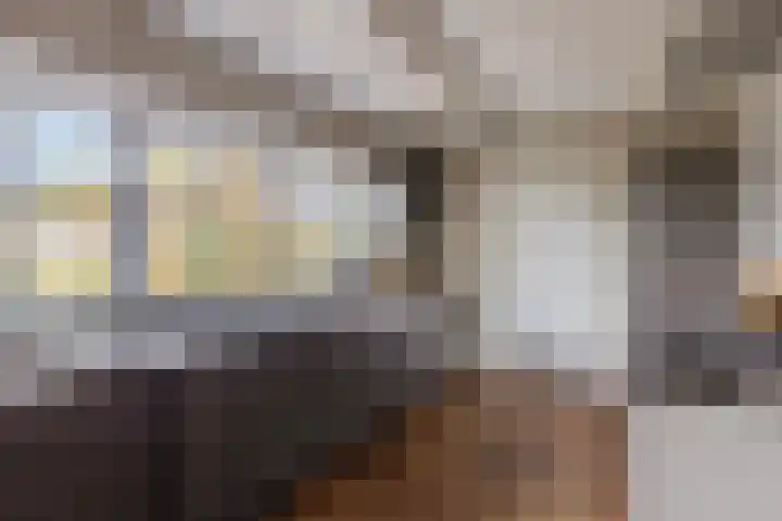 Elzen 4 Boekel thumbnail 20