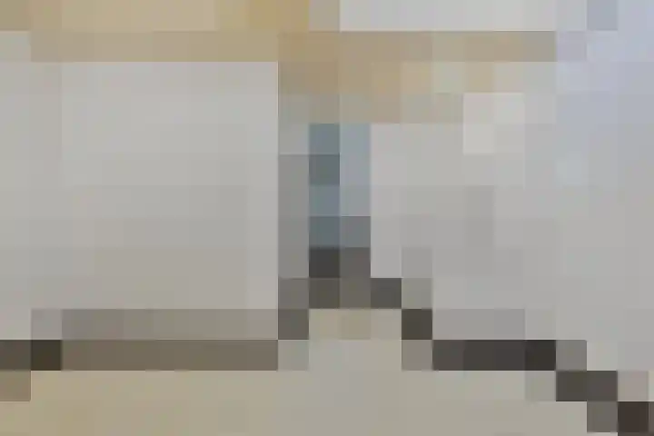 Elzen 4 Boekel thumbnail 28