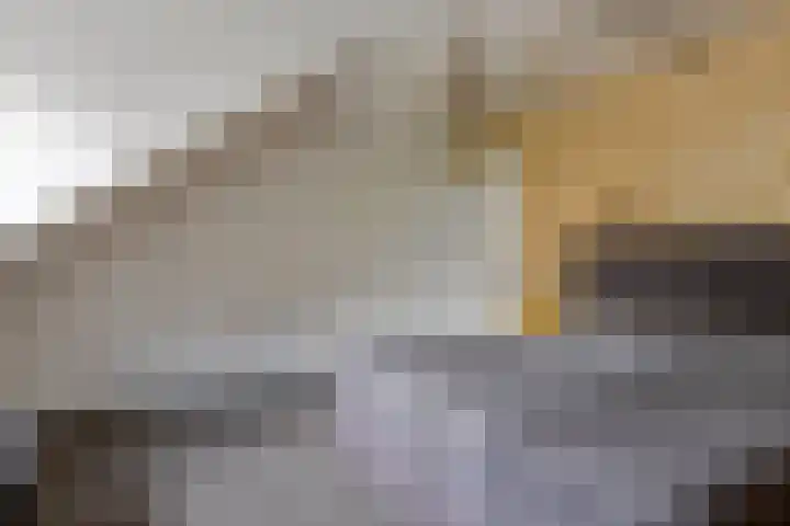 Elzen 4 Boekel thumbnail 35