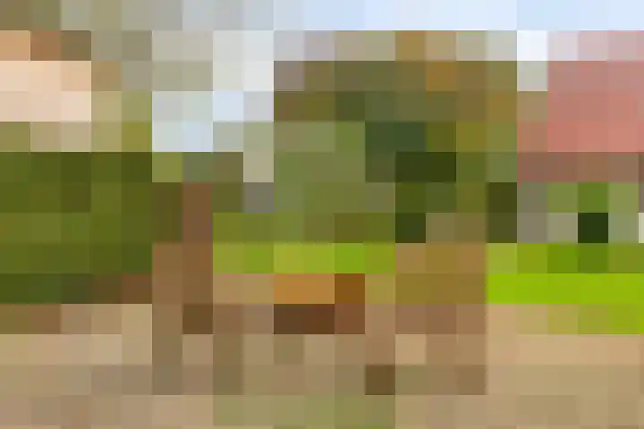 Elzen 4 Boekel thumbnail 4