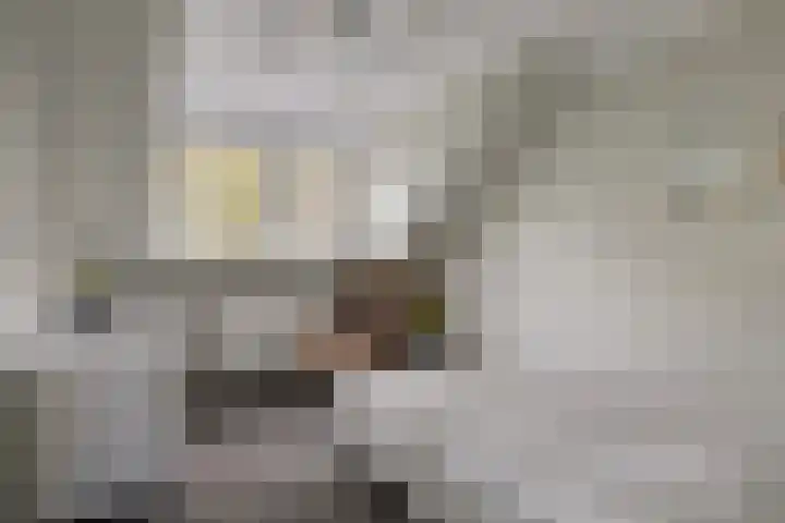 Elzen 4 Boekel thumbnail 41