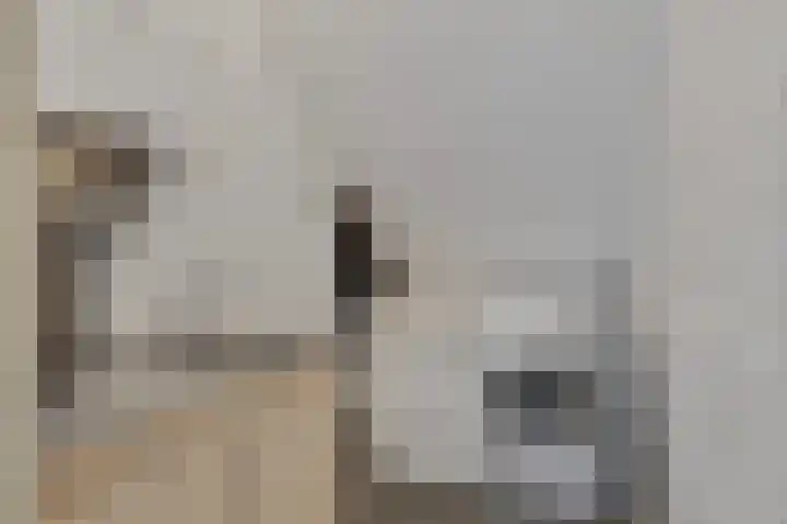 Elzen 4 Boekel thumbnail 45