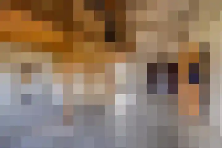 Elzen 4 Boekel thumbnail 48