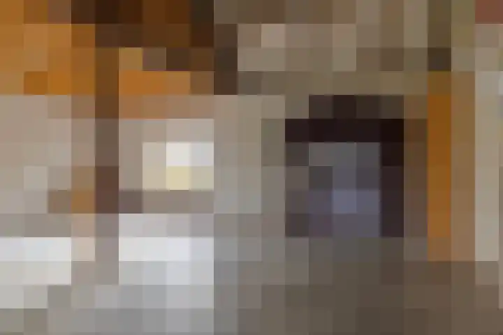 Elzen 4 Boekel thumbnail 49