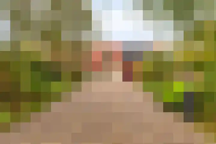 Elzen 4 Boekel thumbnail 5