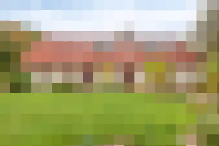 Elzen 4 Boekel thumbnail 51