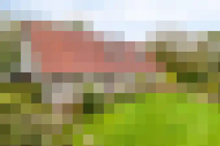 Elzen 4 Boekel thumbnail 52
