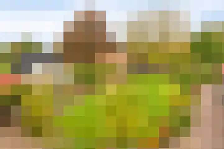 Elzen 4 Boekel thumbnail 53