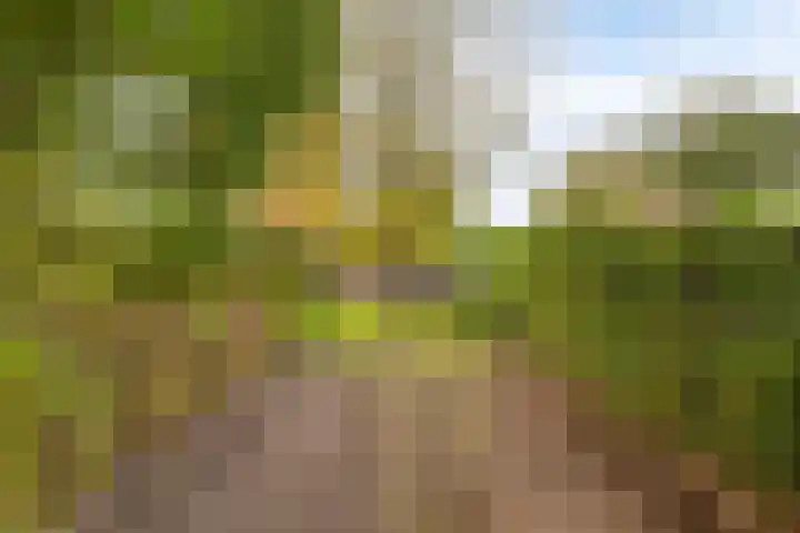 Elzen 4 Boekel thumbnail 54