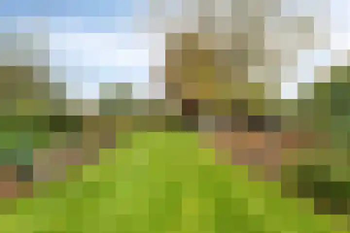 Elzen 4 Boekel thumbnail 55