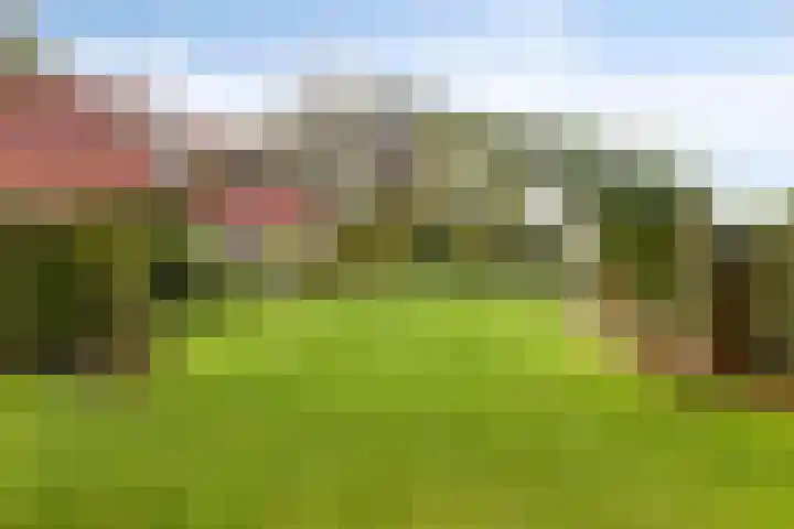 Elzen 4 Boekel thumbnail 57