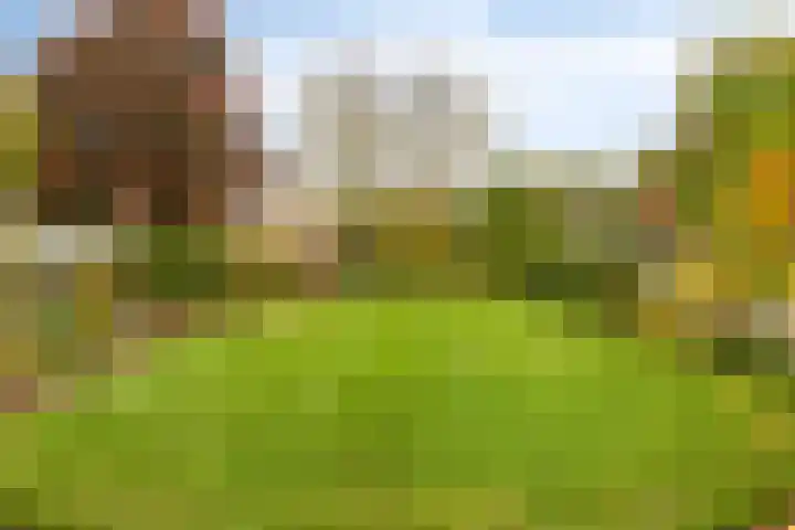 Elzen 4 Boekel thumbnail 58