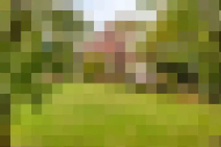 Elzen 4 Boekel thumbnail 6