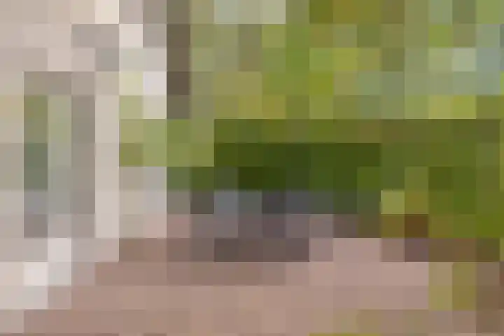 Elzen 4 Boekel thumbnail 60