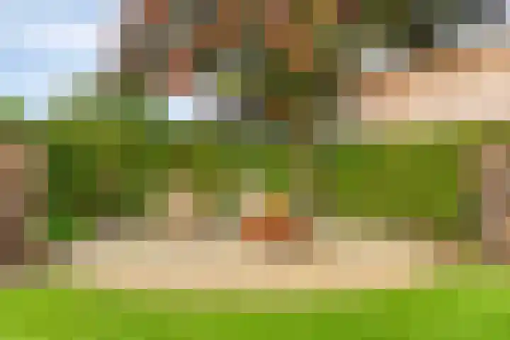 Elzen 4 Boekel thumbnail 61