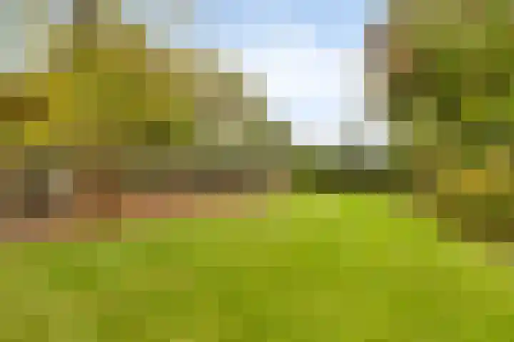 Elzen 4 Boekel thumbnail 63
