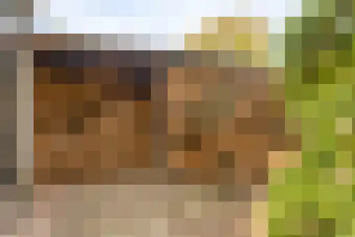 Elzen 4 Boekel thumbnail 64