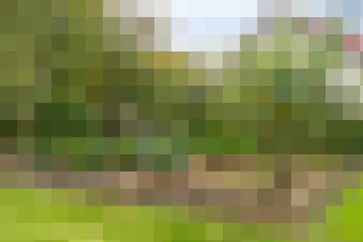 Elzen 4 Boekel thumbnail 65