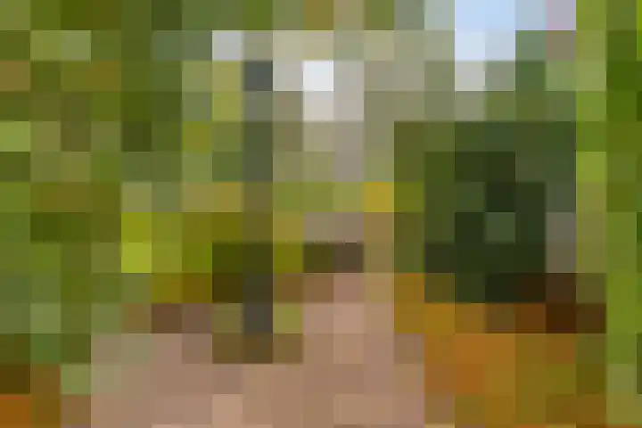 Elzen 4 Boekel thumbnail 67