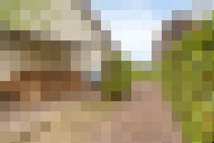 Elzen 4 Boekel thumbnail 68