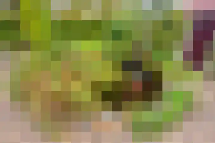 Elzen 4 Boekel thumbnail 69