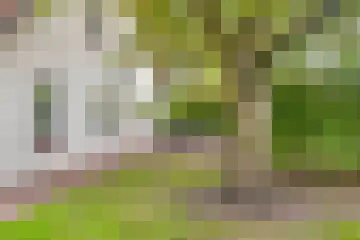 Elzen 4 Boekel thumbnail 71