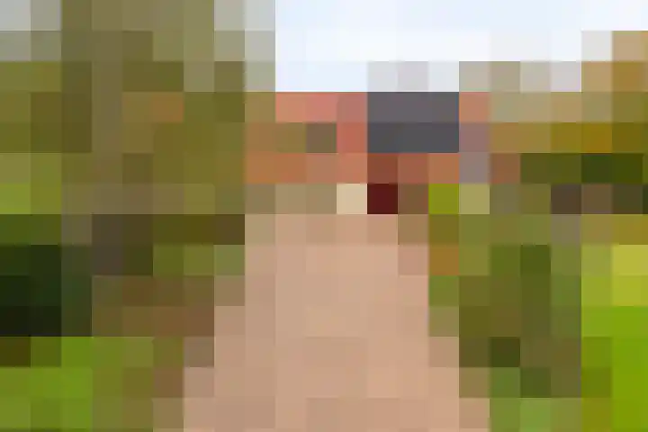 Elzen 4 Boekel thumbnail 74