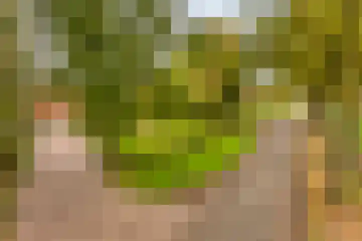 Elzen 4 Boekel thumbnail 75